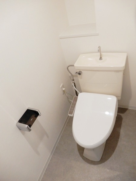 ハイム下鶴間203号室 トイレ