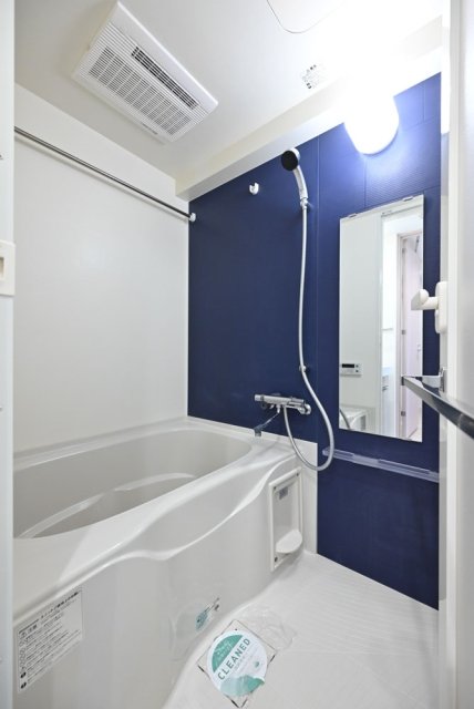 Ｌｉｖｅ　Ｃａｓａ両国Ⅱ お風呂