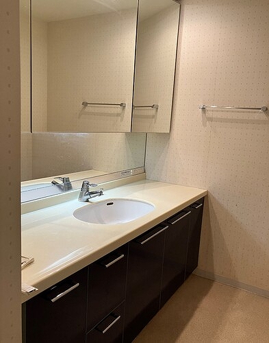 グローリオ杉並宮前 洗面化粧台