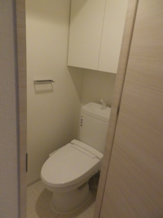 DIPS墨田EAST202号室 トイレ