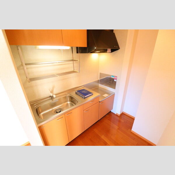 リヴェールNF小杉A305号室 キッチン