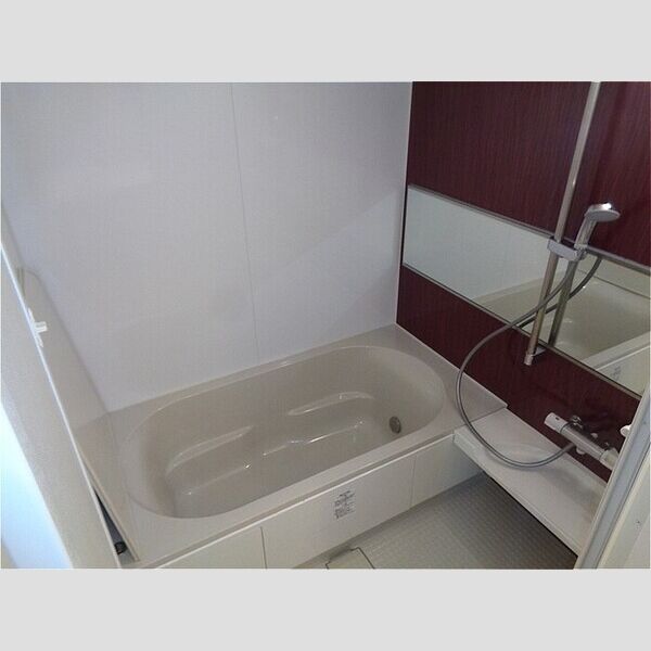 グラン・レーヴ102号室 浴室