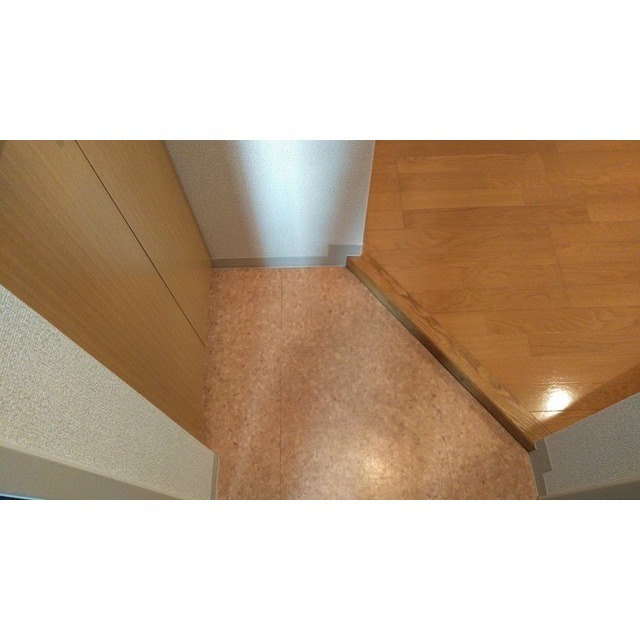 メゾンドロゼ 玄関