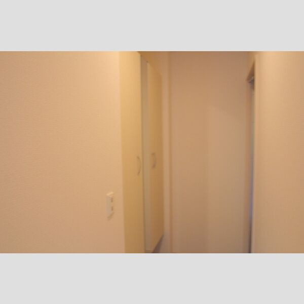 グレイスコート301号室 玄関