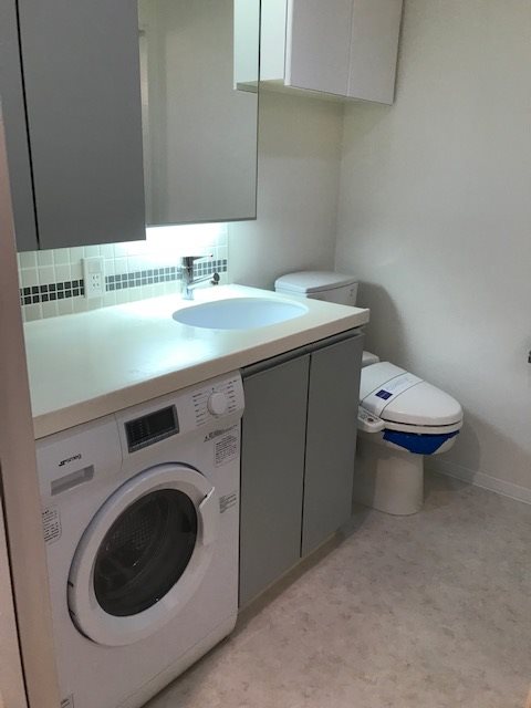 レジディア文京音羽Ⅱ3階 洗面