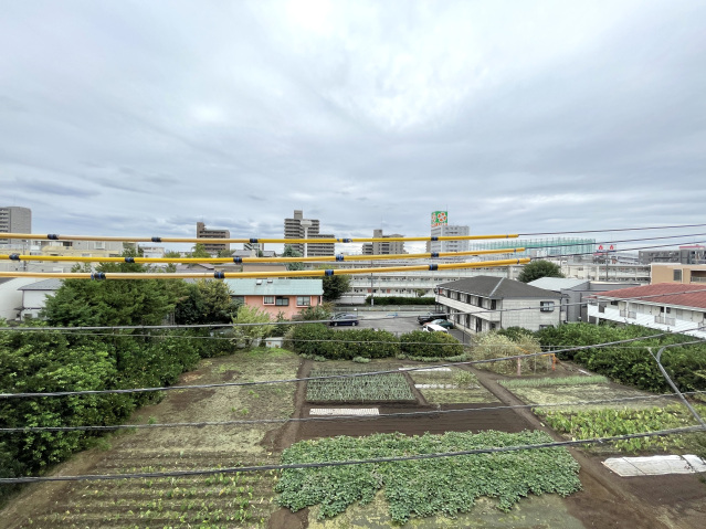 スカイラシクラス平和台306号室 別タイプ参照写真