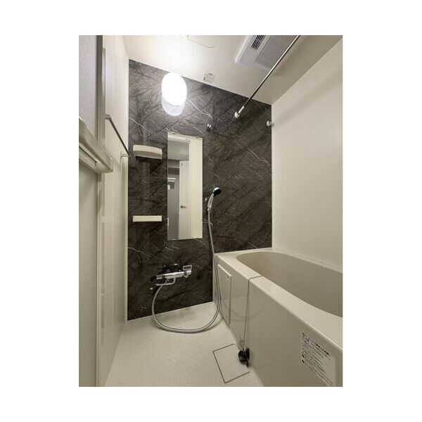 VISTA　HONANCHO202号室 お風呂