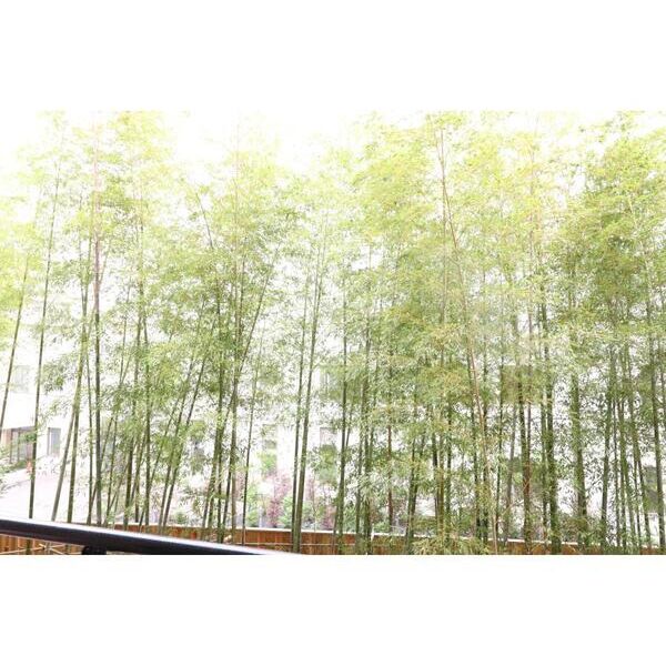 綾東ヴィレッジ弐番館202号室 部屋その他