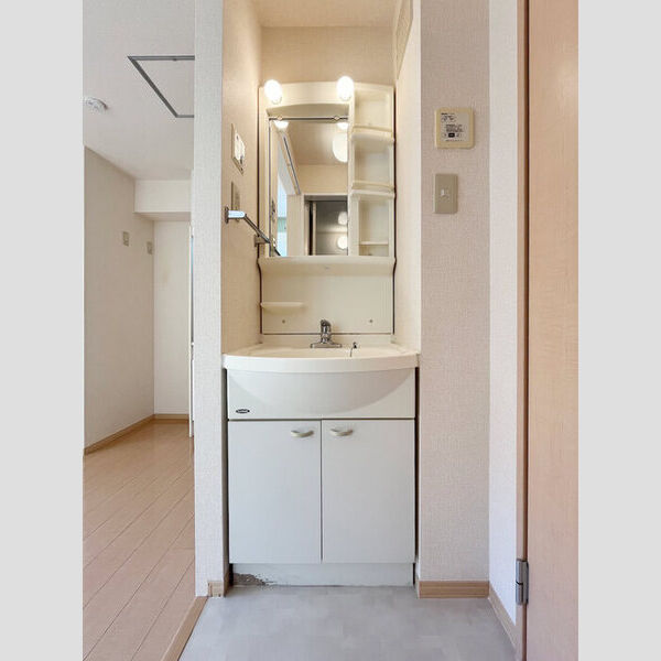 メゾン・アッシュ202号室 202号室洗面台