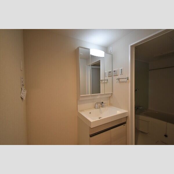 メゾン・ド・シルキー202号室 洗面