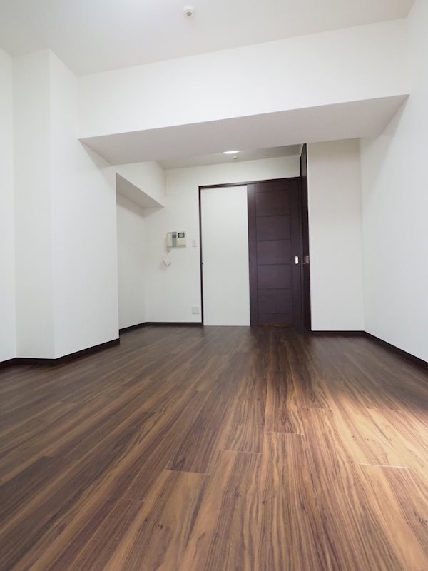 レジディア銀座東5階 リビング