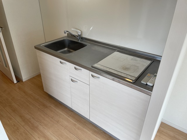 マザーハウス向山0101号室 別号室の写真になります。