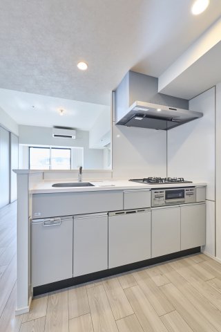 プラウドフラット錦糸町ウエスト1306号室 参考写真