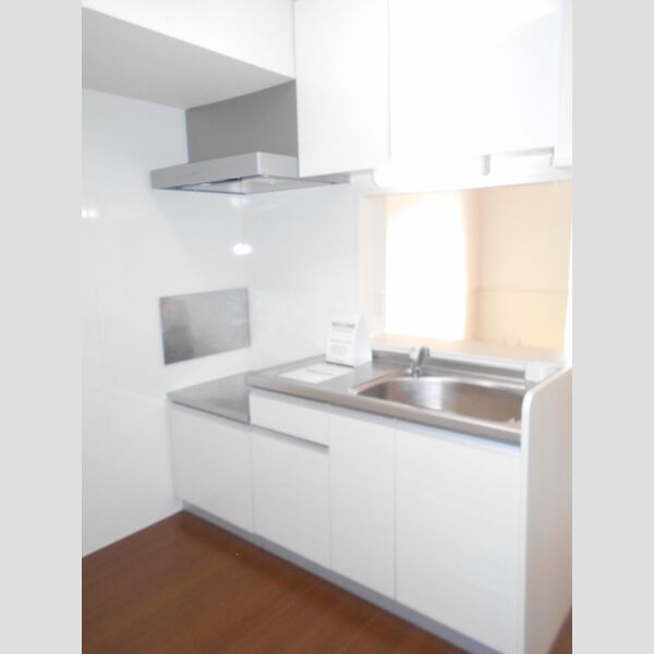 アクシスふじみ野　Ⅰ205号室 キッチン