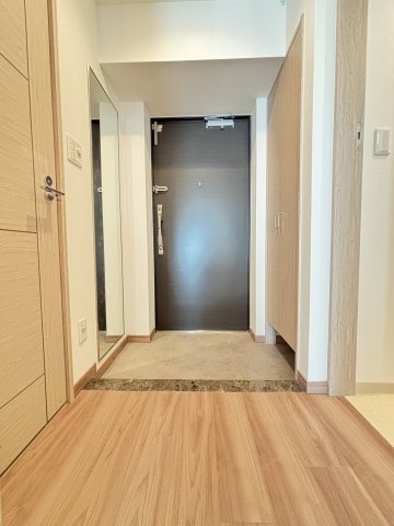 ＬＡＳＡ大崎Ⅴ0106号室 玄関