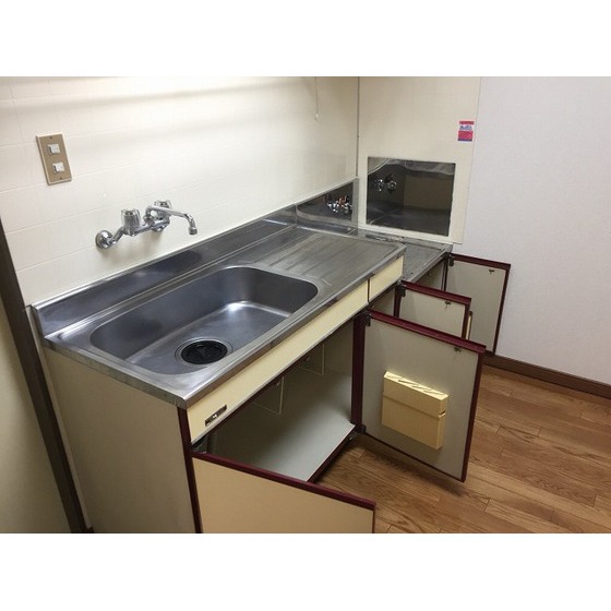 マディソン新大塚0101号室 キッチン下収納