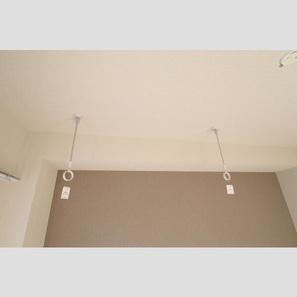 AGREVE501号室 室内物干し