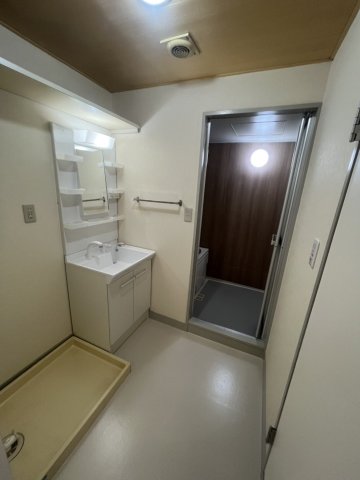 パティオ鵠沼0303号室 洗面