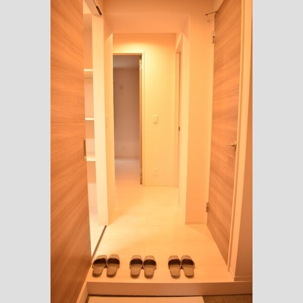 ブライトネス101号室 玄関