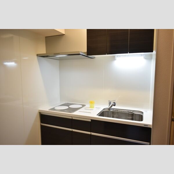 Arpage102号室 システムキッチン