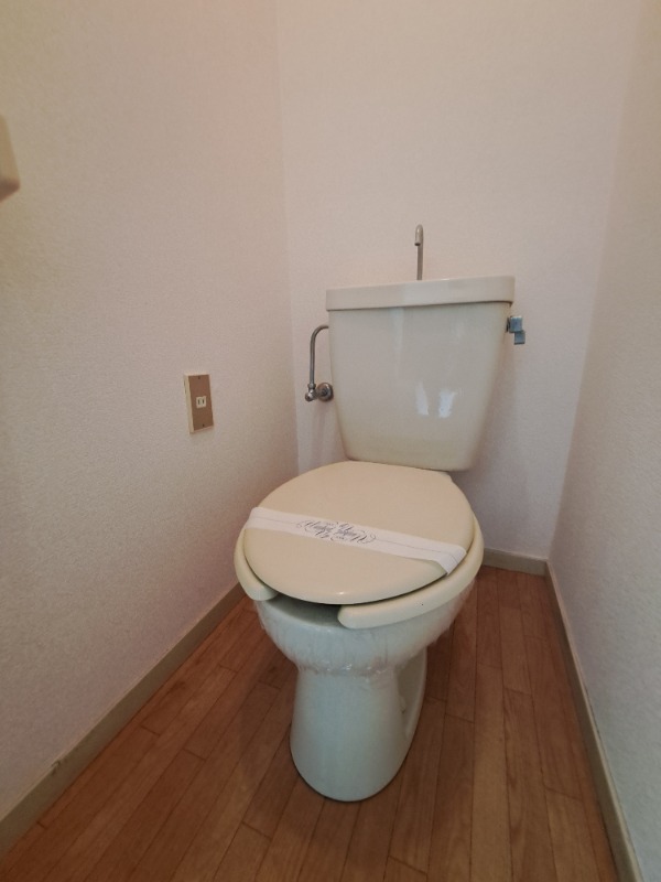 メゾンシティーA館1階 トイレ
