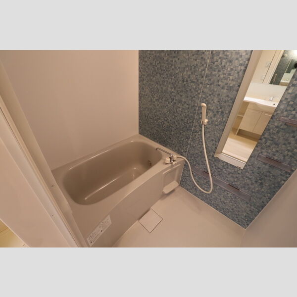 メゾンヴィクトワール梶ヶ谷103号室 同建物別部屋の参考画像