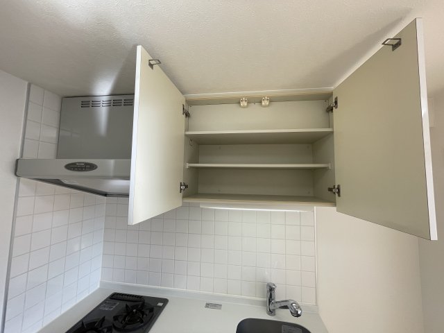 グラントゥルース東向島502号室 収納