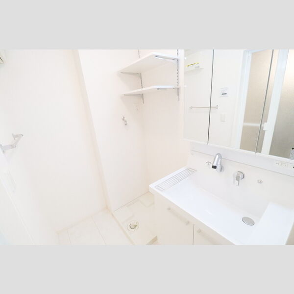 ルミナス ハイム103号室 洗髪洗面化粧台