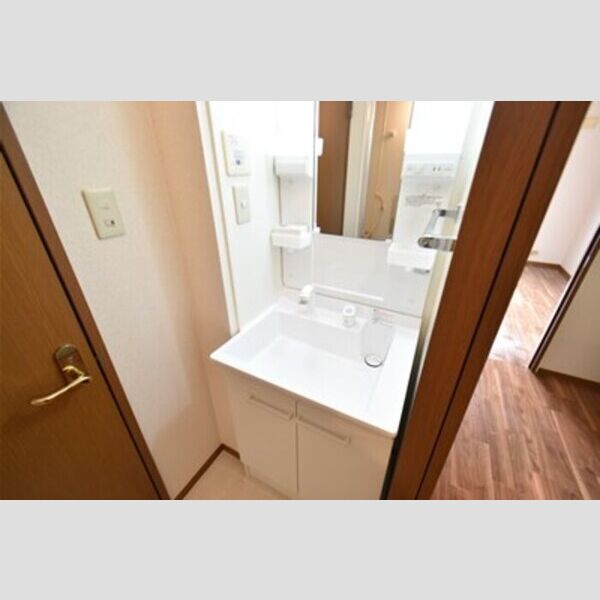 カーサリヴェールⅡ201号室 洗面台