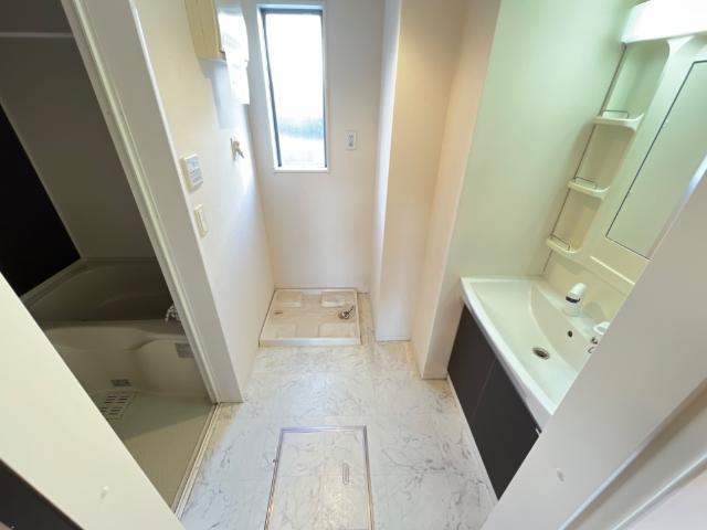 プレシャス 洗面