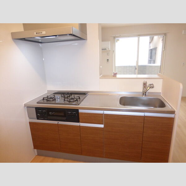 ヴィラグランデⅡ211号室 システムキッチン