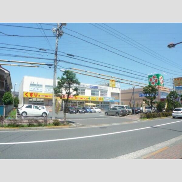 グリナージュ　リリア 【ドラッグストア】どらっぐぱぱす 奥戸店まで699m