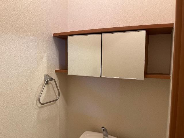 フェニックス206号室 トイレ収納