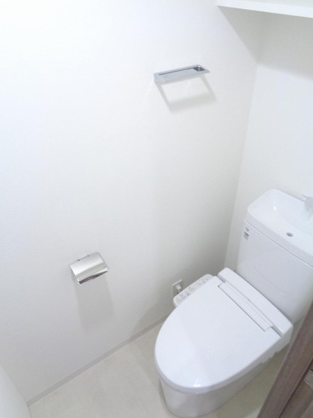 ラフィスタ横浜黄金町304号室 トイレ