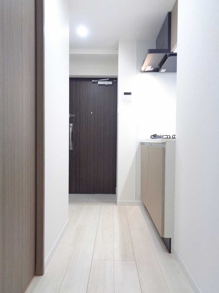 ラフィスタ横浜黄金町203号室 その他