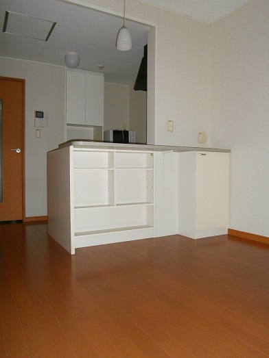 レオパレスソレイユⅡ カウンター