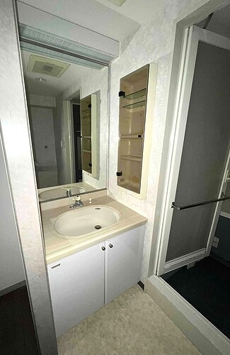 ライオンズガーデン学芸大学 洗面台　前回募集時／2023年1月の写真