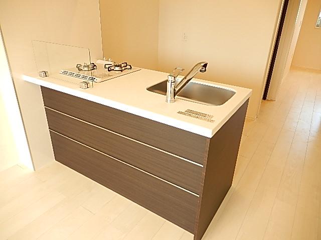 リーオイスラ システムキッチン