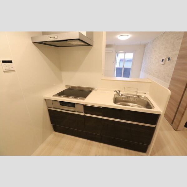 パセオコーワⅡ102号室 102号室　システムキッチン