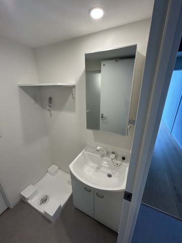 Ｓｏｕｔｈｅｒｎ　Ｖｉｌｌａｇｅ湘南0902号室 洗面