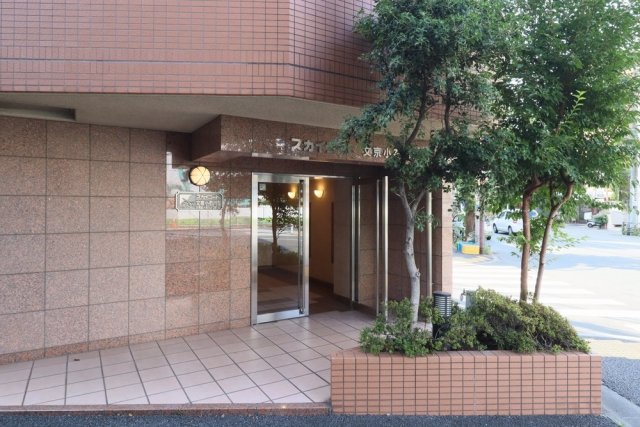 スカイコート文京小石川第５2階 エントランス