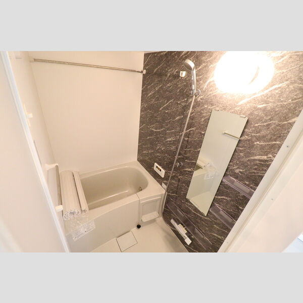 D Paina 宿河原7102号室 システムバス