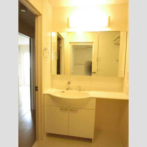 プレミール 大きな鏡がついた洗髪洗面化粧台