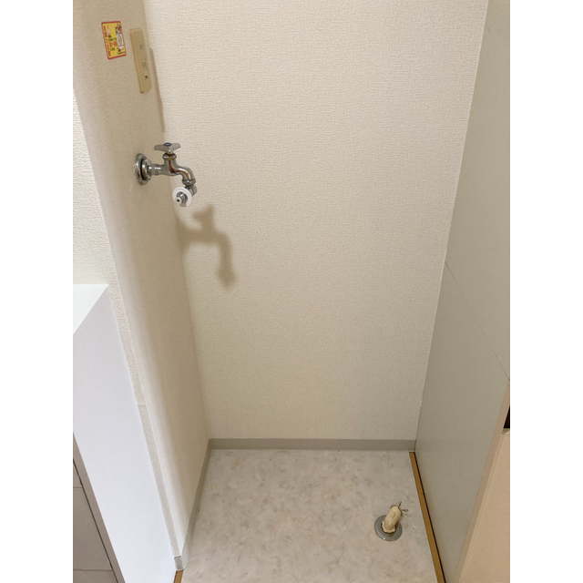 スカイ　グランデ 洗濯機置き場
