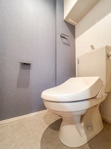 アイル グランデ川口314号室 トイレ