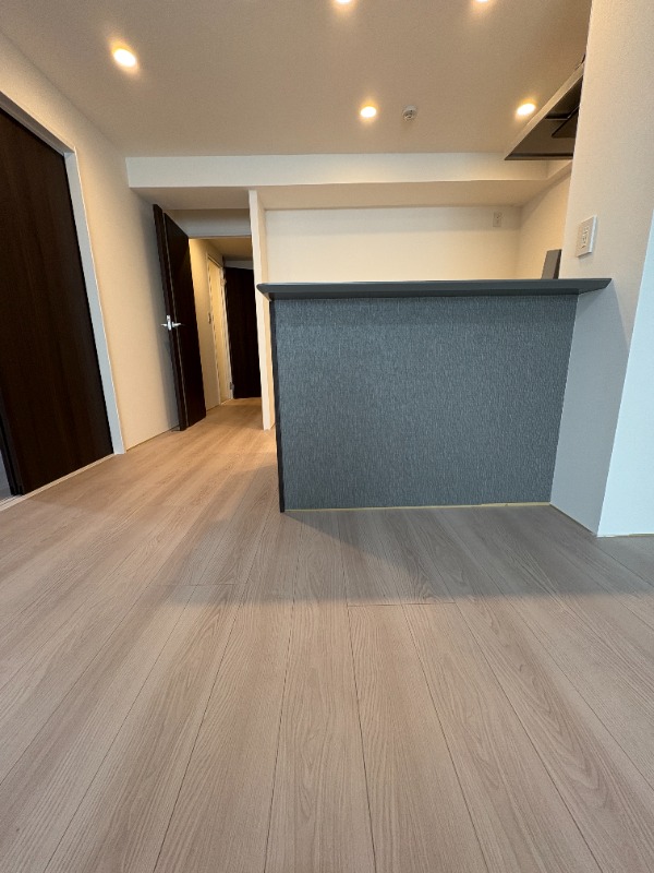 Daiwaグレイスメゾン二子玉川3階 カウンターキッチン※写真201