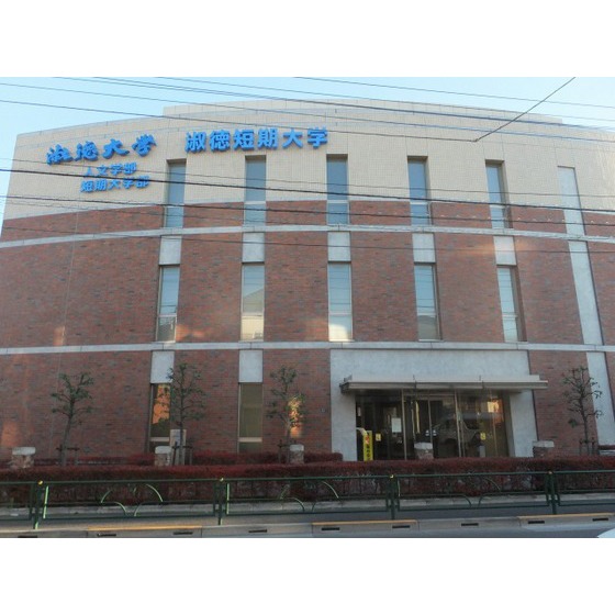 サンライズ 淑徳短期大学