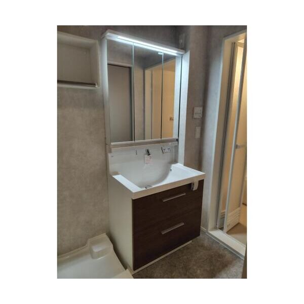 ヒンメルブラウ　野方302号室 洗面