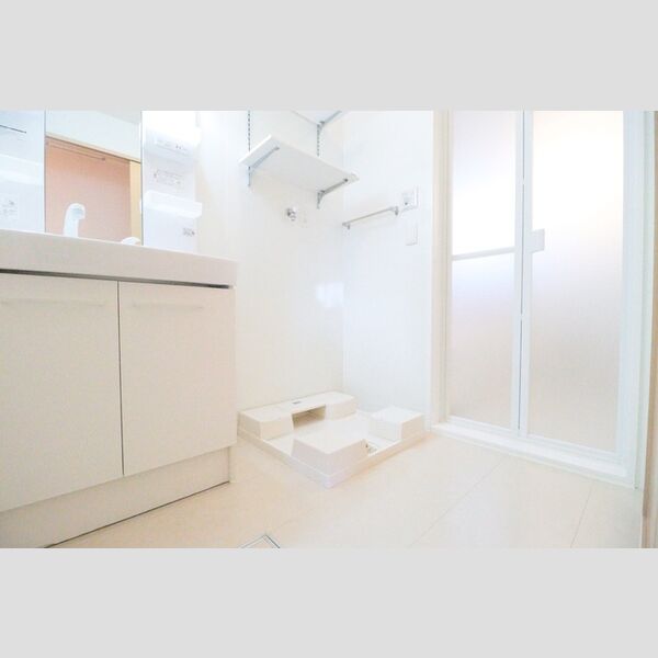 メゾン・ド・ライコ　Ⅱ202号室 洗面室