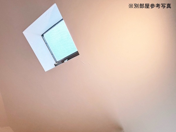 ブルーウィング203号室 部屋その他